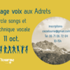 Stage voix, Circle songs et technique vocale